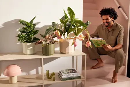 ELHO Pot facet d14cm amandelroze - afbeelding 4