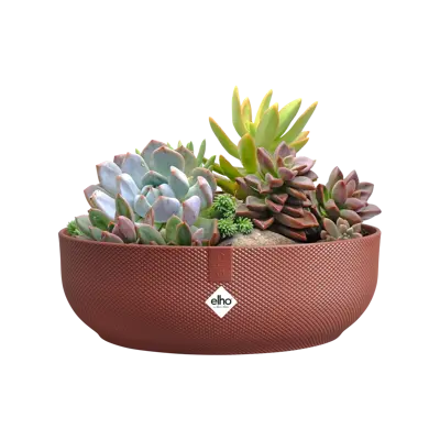 ELHO Schaal jazz d28cm zijdewit - afbeelding 7