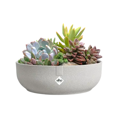 ELHO Schaal jazz d28cm zijdewit - afbeelding 2