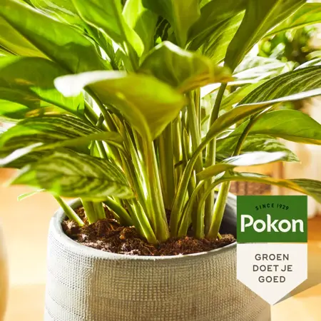 Groene planten 500ml - afbeelding 2