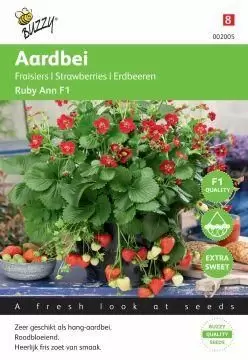 Hangaardbei ruby ann f1 7zdn