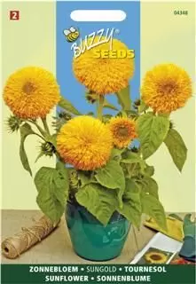 Helianthus annuus sungold dubbel 2g - afbeelding 1