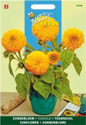 Helianthus annuus sungold dubbel 2g - afbeelding 3