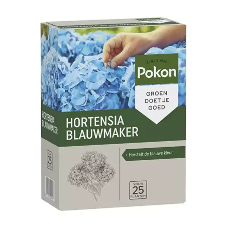 Hortensia blauwm 500g - afbeelding 1