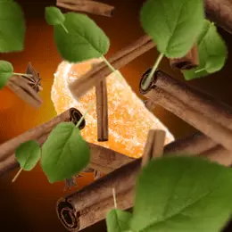 Cannelle de Noël / Festive Cinnamon 500ml-Huisparfum-Lampe Berger - afbeelding 2