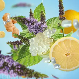 Huisparfum - Lampe Berger - 1L Citron Tonique - afbeelding 2