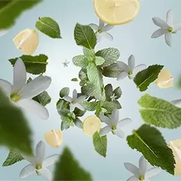 Huisparfum - Lampe Berger - 500ml Menthe fraiche au Riad / Fresh mint at the Riad - afbeelding 2