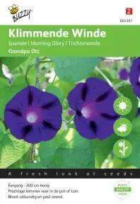 Ipomoea grandpa ott 2.5g - afbeelding 2