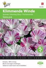 Ipomoea tricolor venice pink 2g - afbeelding 1