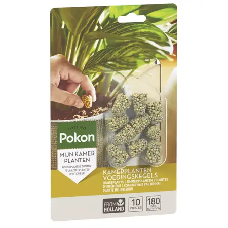 Portie kamerplanten tablet 10st - afbeelding 1