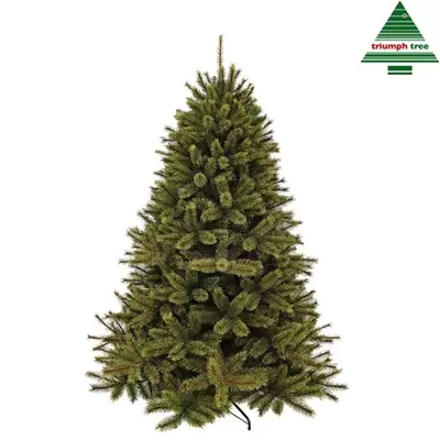 Triumph Tree Forest frosted pine kunstkerstboom - Groen - TIPS 1248 - H215cm - afbeelding 1