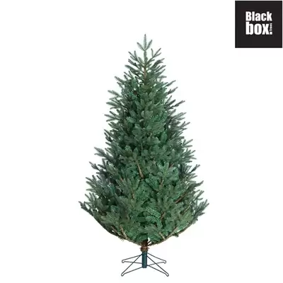 Black Box Frasier kunstkerstboom - Groen - TIPS 2688 - H215cm