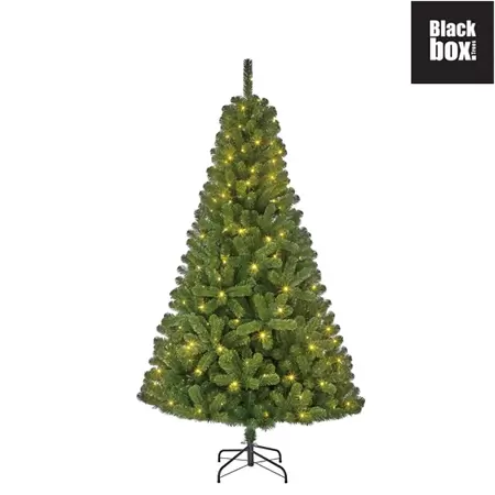Black Box Charlton kunstkerstboom - LED verlichting - Groen - TIPS 525 - H185cm