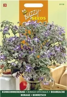 Komkommerkruid borage 2g - afbeelding 2