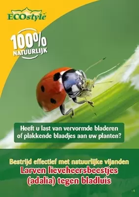 Larven lieveheersbeestje tegen bladluis 50 st. - afbeelding 1