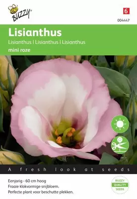 Lisianthus mini rose 25zdn - afbeelding 1