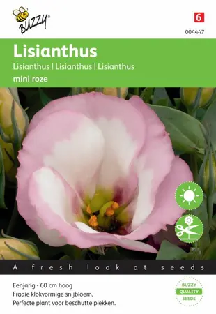 Lisianthus mini rose 25zdn - afbeelding 2