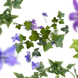 Lolita Lempicka 500ml Huisparfum Lampe Berger - afbeelding 2