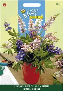 Lupinus nanus pixie delig mix2 g - afbeelding 2