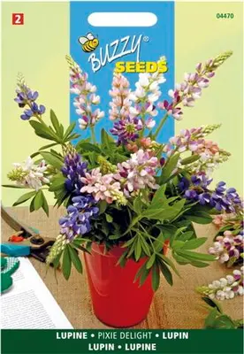 Lupinus nanus pixie delig mix2 g - afbeelding 4