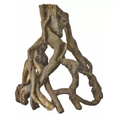 SUPERFISH Mangrove root l l29b22h32cm