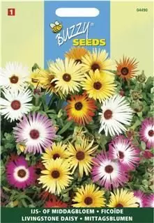 Mesembryanthemum dorotheanthus 0.5g - afbeelding 1