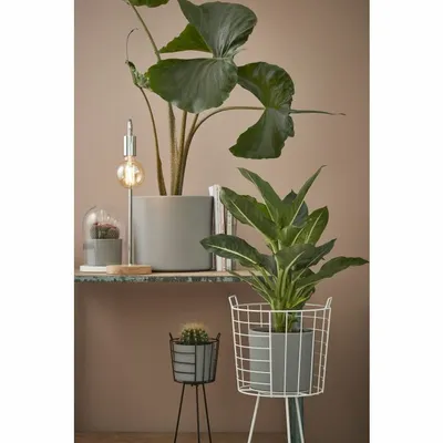 MICA DECORATIONS Pot era d10.5h9cm donkergrijs sand - afbeelding 2