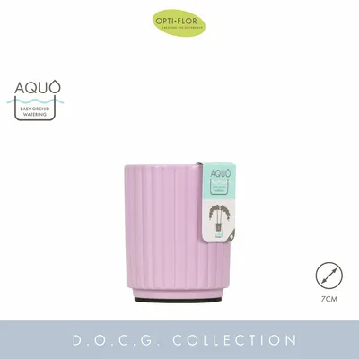 Molise Lilac 12cm