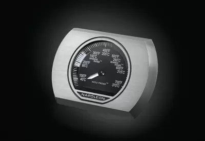 Napoleon Rogue 365-1 grill zwart - afbeelding 4
