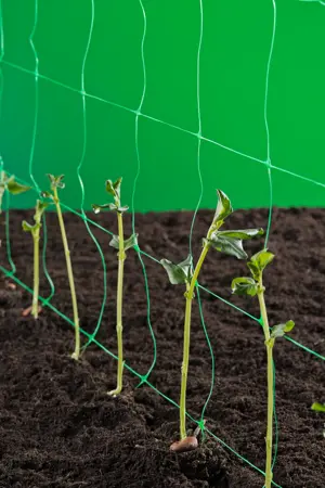 Nature Klim- groei- en geleidenet groen 1x10m maaswijdte 15x17cm - afbeelding 1