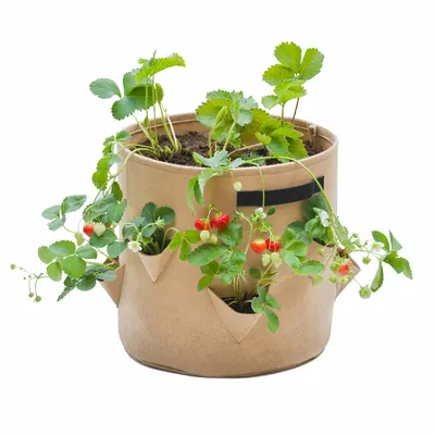 Nature plantenkweekzak voor aardbeien H35 x Ø35cm - afbeelding 1