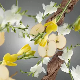 Anti-Odeur Animaux Fruité & Fleuri 200ml Navulling Parfumverspreider Lampe Berger - afbeelding 2
