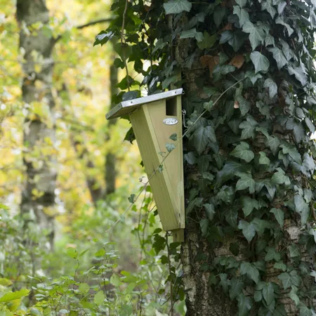 Nestkast boomkruiper l18b14h42cm - afbeelding 2