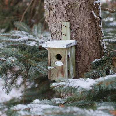 Nestkast winterkoning d14h25b11cm - afbeelding 3