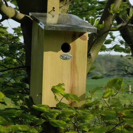 Observatienestkast d21h39b17cm - afbeelding 2