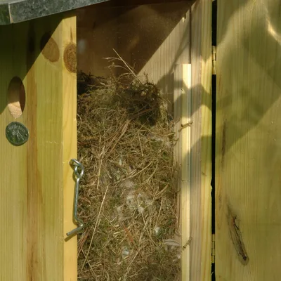 Observatienestkast d21h39b17cm - afbeelding 3