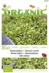 Organic andijvie gele volhart 2g - afbeelding 1