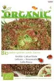 Organic pluksla lollo rossa 0.5g - afbeelding 2