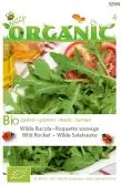 Organic rucola wilde meerjarig 0.6g - afbeelding 2