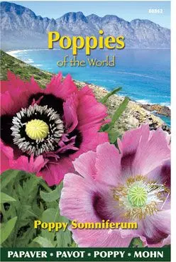 Papaver poppies of the world s 1g - afbeelding 4