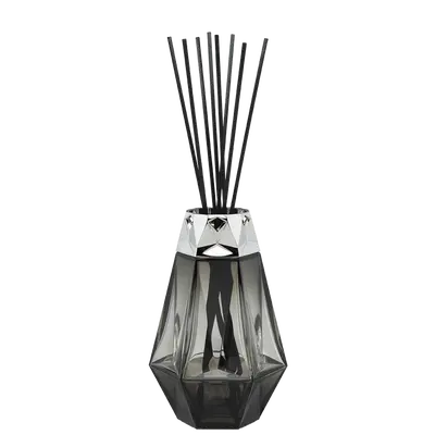 Prisme Noir / Terre Sauvage 200ml Parfumverspreider met sticks - Lampe Berger - afbeelding 2
