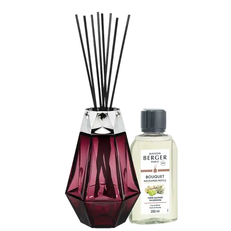 Parfumverspreider met sticks - Lampe Berger - Cube 200ml Prisme Grenat / Terre Sauvage - afbeelding 1