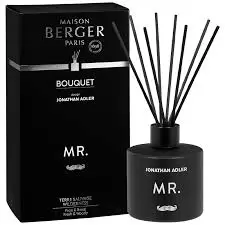 Parfumverspreider met sticks - Lampe Berger - Mr. / Terre Sauvage - 180ml