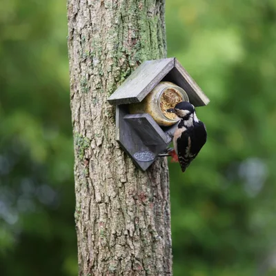 Pindakaashuis oud hout d13h20b15cm - afbeelding 5