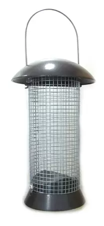 Pindasilo adventurer klein 24cm - afbeelding 1