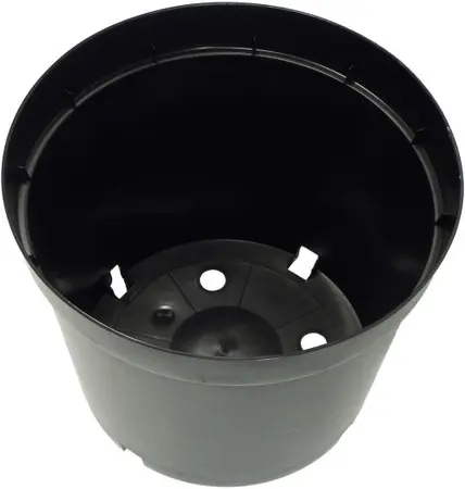 Plantcontainer 2 L D 16,5 cm zwart 5 stuks - afbeelding 2
