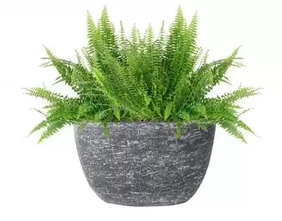 Planter karlijn l29b15h16 antraciet - afbeelding 2
