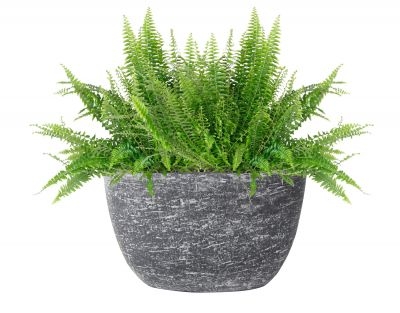 Planter karlijn l29b15h16 antraciet - afbeelding 2