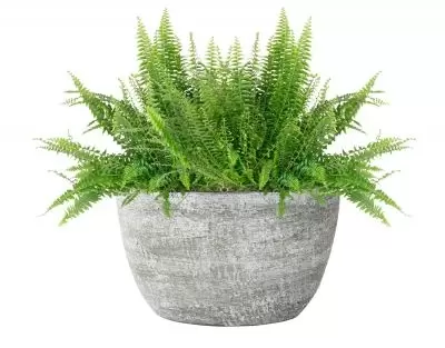 Planter karlijn l29b15h16cm earth - afbeelding 2