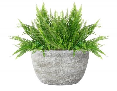 Planter karlijn l29b15h16cm earth - afbeelding 2